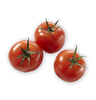 Svenska tomater odlas av Sydgrönt året om